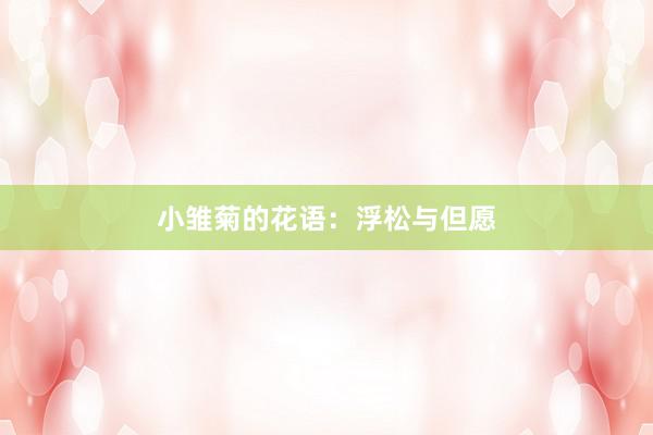 小雏菊的花语：浮松与但愿
